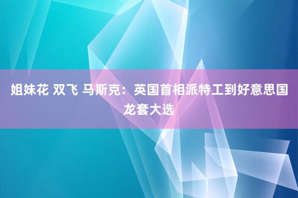 姐妹花 双飞 马斯克：英国首相派特工到好意思国龙套大选