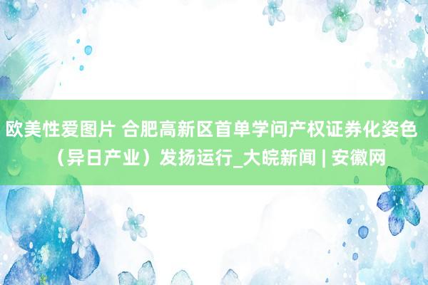 欧美性爱图片 合肥高新区首单学问产权证券化姿色  （异日产业）发扬运行_大皖新闻 | 安徽网