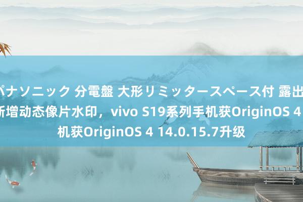 パナソニック 分電盤 大形リミッタースペース付 露出・半埋込両用形 新增动态像片水印，vivo S19系列手机获OriginOS 4 14.0.15.7升级