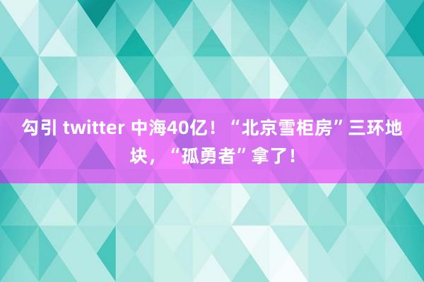 勾引 twitter 中海40亿！“北京雪柜房”三环地块，“孤勇者”拿了！