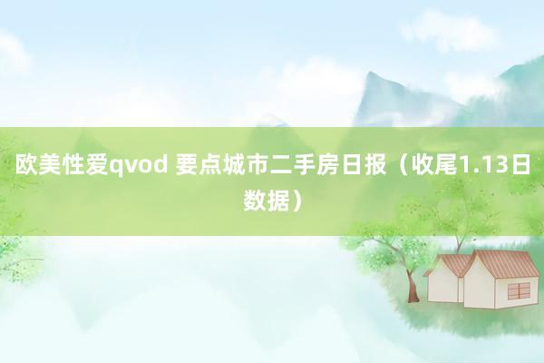 欧美性爱qvod 要点城市二手房日报（收尾1.13日数据）